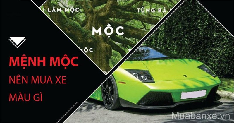 Mệnh Mộc Hợp Xe Màu Gì Theo Tuổi? Gợi Ý Mẫu Xe Ô Tô Hợp Mệnh Mang Lộc