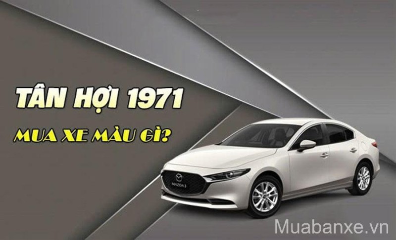 Sinh Năm 1971 Mua Xe Màu Gì Cho Nam Nữ Tân Hợi? Hướng Dẫn Cung Mệnh Chuẩn