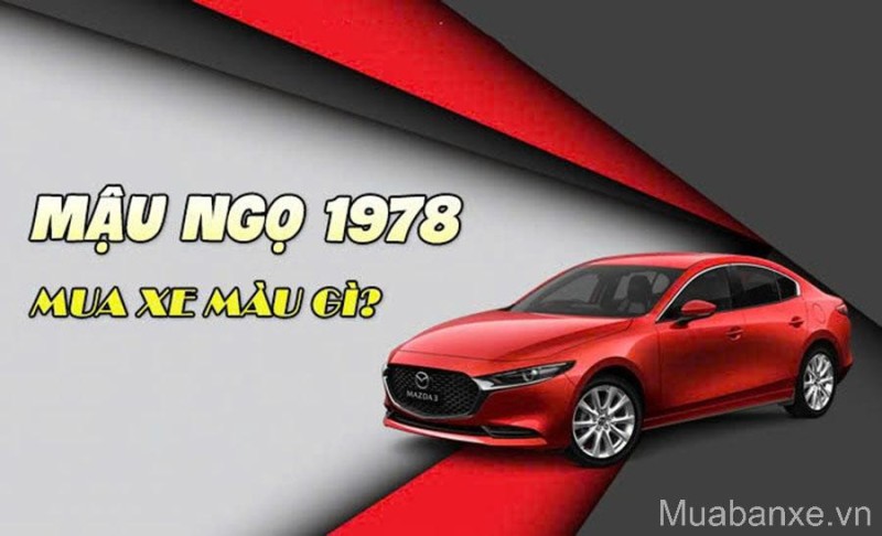 Tuổi Mậu Ngọ 1978 Hợp Xe Màu Gì Để Thu Hút Tài Lộc Và Bình An?
